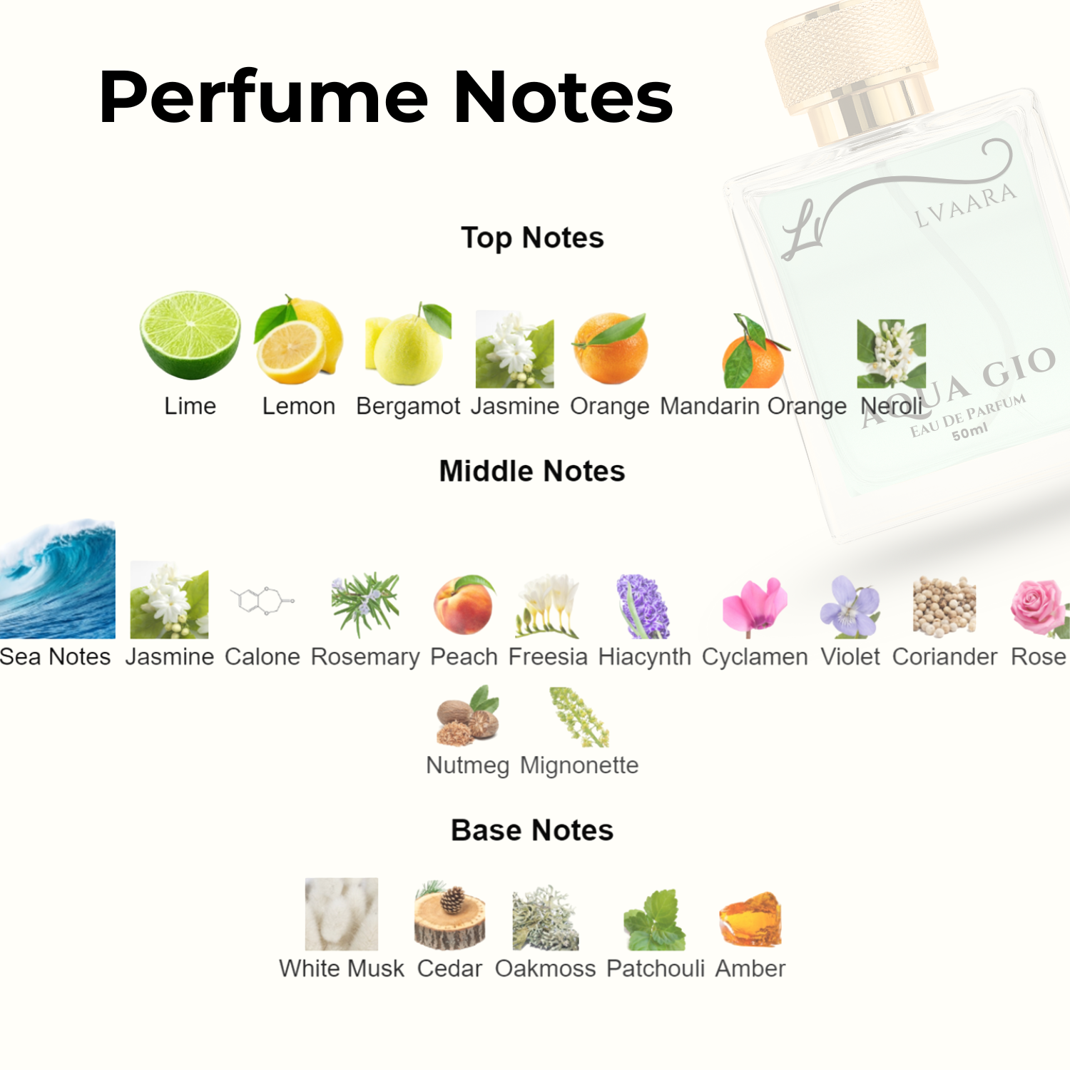 AQUA GIO | INSPIRED BY ACQU* DI G*O  ARM*NI | EDP | UNISEX